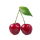 Kirsche