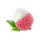 Litschi