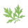 Artemisia