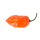 Habanero-Chili