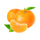 madagassische Mandarine