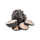 schwarze Trüffel