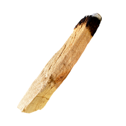 ecuadorianisches Palo Santo