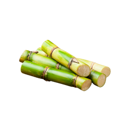 gerösteter Rohrzucker