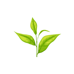 indischer schwarzer Tee