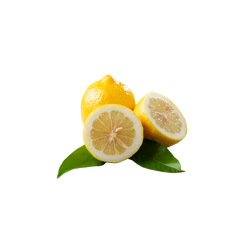 Italienische Zitrone