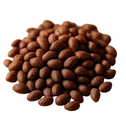 Ambrettesamen Absolue