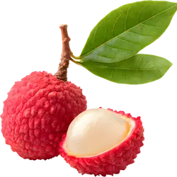Litschi