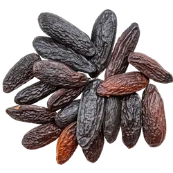 Venezolanische Tonkabohne