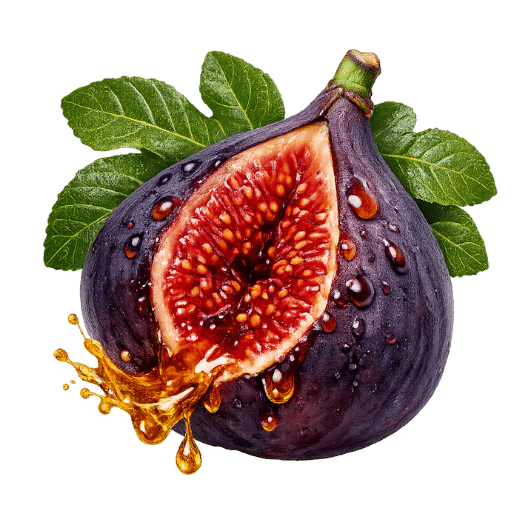 Feigennektar