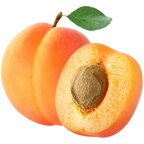 Aprikose