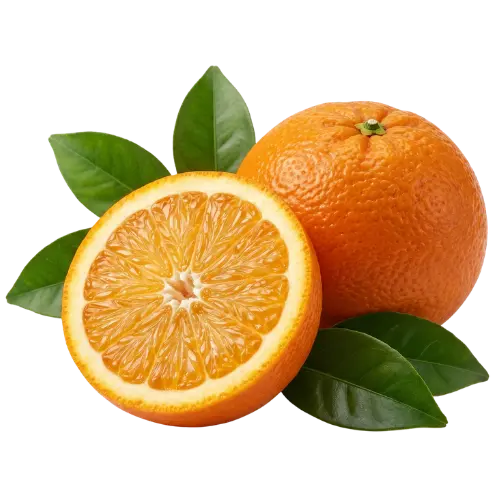 Bitterorange