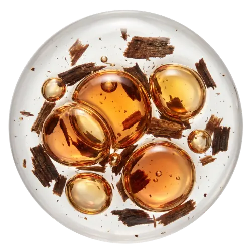 Cognac