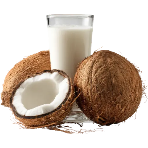 Kokosmilch