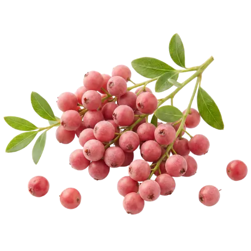 rosa Pfeffer CO2
