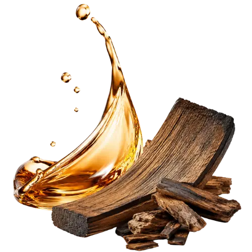 Scotch‑Whisky Absolue