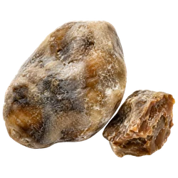 Ambergris