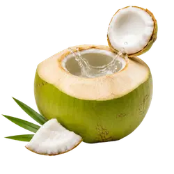 Kokoswasser