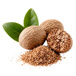 Muskatnuss
