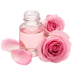 Rosenwasser