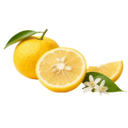 Yuzu