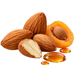 Amaretto