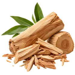Australisches Sandelholz